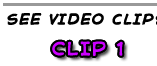 Video clip 1